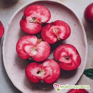 Яблоня Байя Мариса